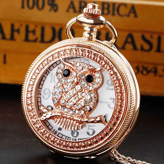 Pocket Watch with Lovely Owl Full Hunter Alloy Quartz Clock with Necklace Fob Chain  Antique Watches for Men Women XH1010