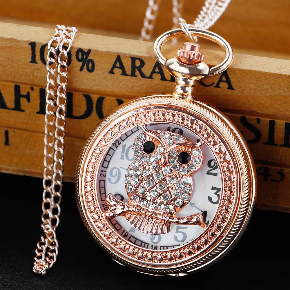 Pocket Watch with Lovely Owl Full Hunter Alloy Quartz Clock with Necklace Fob Chain  Antique Watches for Men Women XH1010
